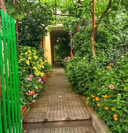 Family Magnolia - Summer 普里莫尔斯科