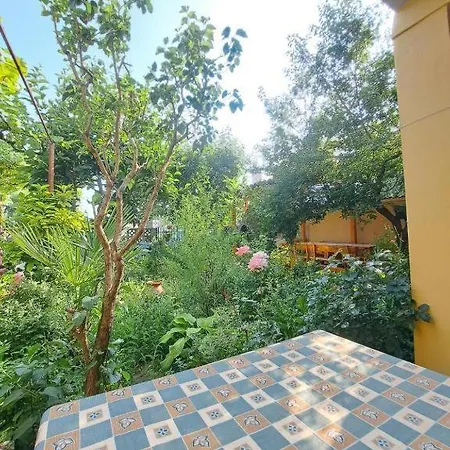 Family Magnolia - Summer 招待所 3*