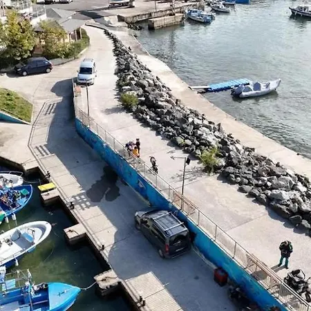 招待所 Family Magnolia - Summer 普里莫尔斯科