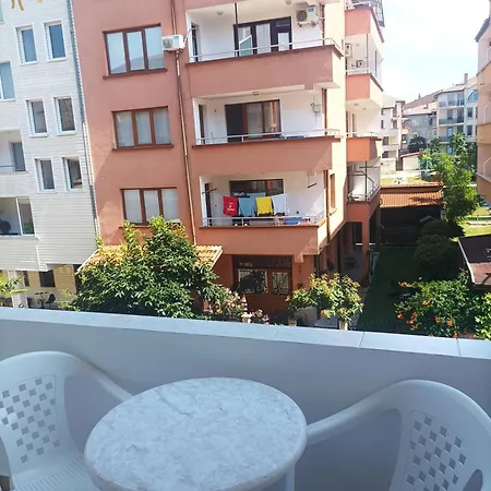 Family Magnolia - Summer 3* 普里莫尔斯科