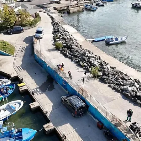 Family Magnolia - Summer 招待所 3*