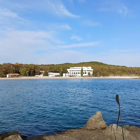 招待所 Family Magnolia - Summer