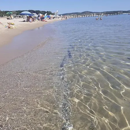 Family Magnolia - Summer 3* 普里莫尔斯科