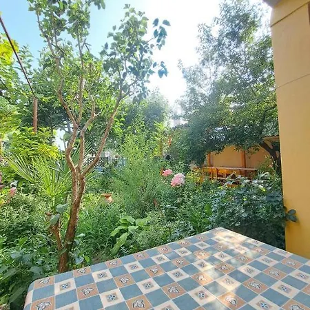 Family Magnolia - Summer 招待所 3*