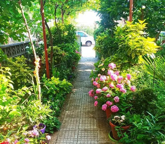 Family Magnolia - Summer