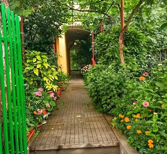 Family Magnolia - Summer Primorsko