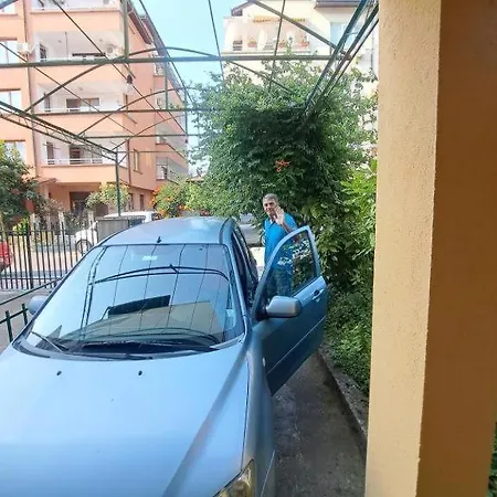 Family Magnolia - Summer Primorsko