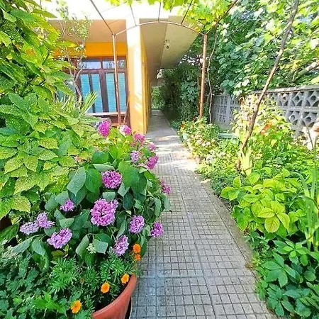 Family Magnolia - Summer