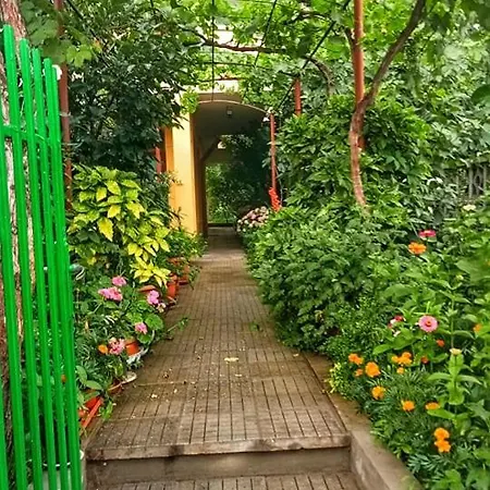 Family Magnolia - Summer Primorsko