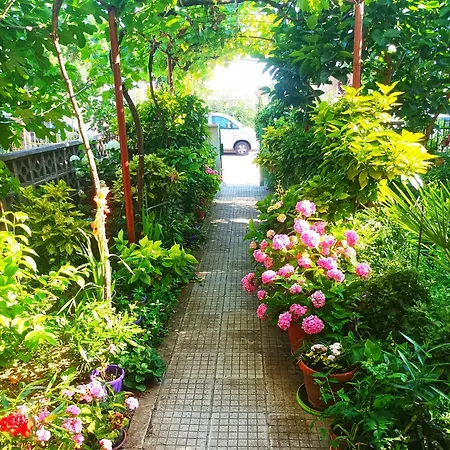 Family Magnolia - Summer Guest house 3*