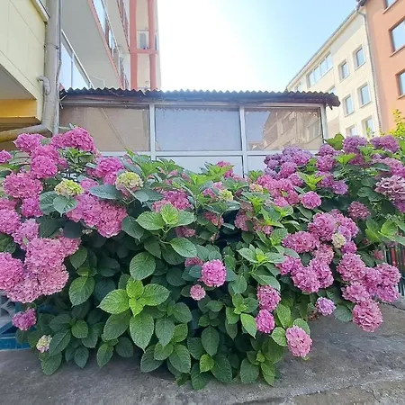 Guest house Family Magnolia - Summer 3*