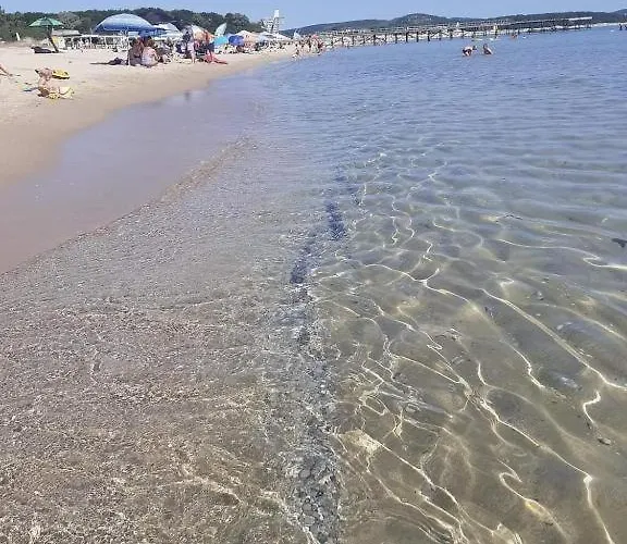 Family Magnolia - Summer 3*