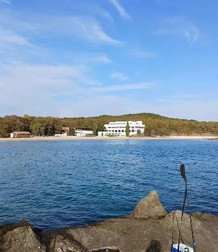 Guest house Family Magnolia - Summer Primorsko